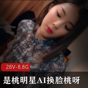 明星AI换脸视频合集，28个视频，8.8G