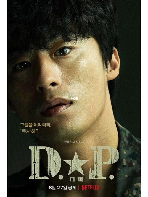 《2021最新:D.P逃兵追缉令》——豆瓣9.2分精彩动作犯罪剧