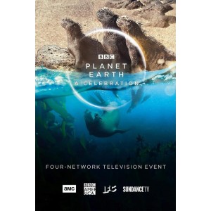 完美星球：英国BBC电视台精彩纪录片，探索地球上最珍贵的资源