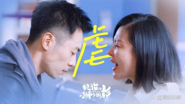 2021最新《赖猫的狮子倒影》4K超清真爱收官,朱亚文杨子姗等热血演绎