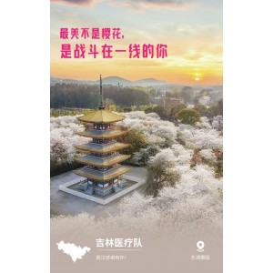 《宿命回响：命运节拍》日语wai+gua简繁MKV/7.5G版本