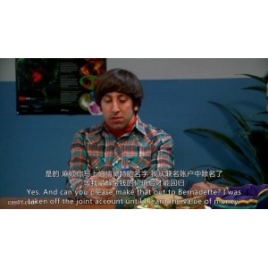 在AliyunDrive上免费观看《生活大爆炸TheBigBangTheory》