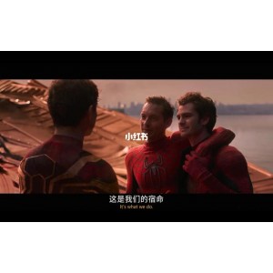 4K超清蓝光《蜘蛛侠：英雄无归》65G完整版，由大佬重新优化，支持多国语言，更新调整字幕版，拯救地球，发现自我，深入体会英雄旅程！