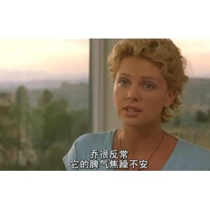 神奇的冒险：《无敌大猩猩》