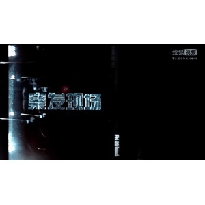经典警匪电视剧合集：谍战剧、陈宝国系列、黑洞、黑冰、黑雾、黑狐、特种兵、燕双鹰、法证先锋、暗黑者、人民的名义、人民的财产、人民的正义、使徒行者、重案六组及更多经
