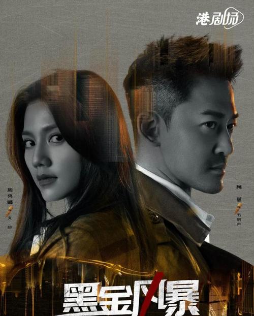 2022年热门犯罪动作片:《黑金风暴》4K版,国粤双语,内嵌中字,林峯、周秀娜、黄浩然主演
