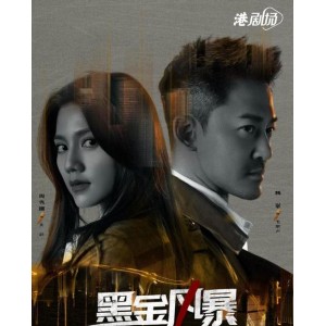 2022年热门犯罪动作片：《黑金风暴》4K版，国粤双语，内嵌中字，林峯、周秀娜、黄浩然主演