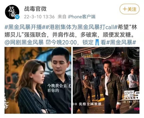 2022年热门犯罪动作片:《黑金风暴》4K版,国粤双语,内嵌中字,林峯、周秀娜、黄浩然主演