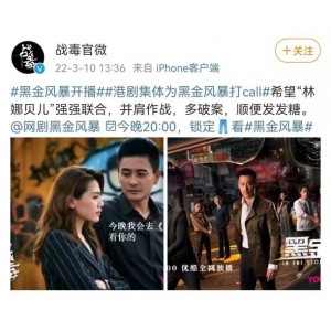2022年热门犯罪动作片：《黑金风暴》4K版，国粤双语，内嵌中字，林峯、周秀娜、黄浩然主演