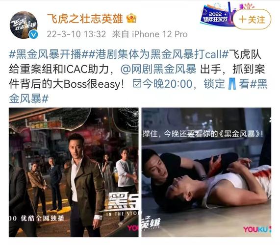 2022年热门犯罪动作片:《黑金风暴》4K版,国粤双语,内嵌中字,林峯、周秀娜、黄浩然主演