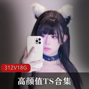 高颜值TS露脸合集,共312个视频18.4G,TS李智贤、TSdingkubel等实力派齐聚,推特OnlyFans精选,迷人表情魅力无限,下载收藏不容错过!