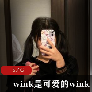 精选女神wink可爱身材美腿丁字裤给力佳作合集5.4G