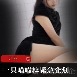 喵喵梓紧急企划合集PR社出品