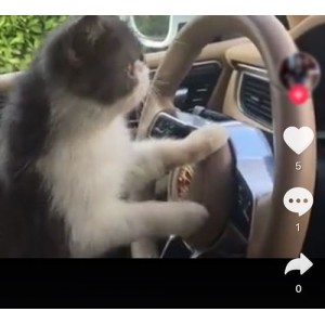 1080P蓝光画质经典动作片《正义的子弹.mkv》，从阿里云网盘下载，提取码：jq2N