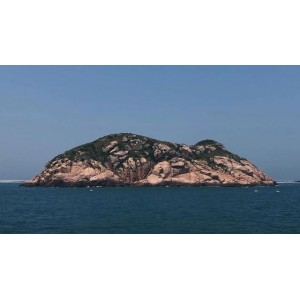 热带海域奇幻之旅：《迷失》
