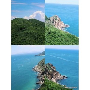 热带海域奇幻之旅：《迷失》