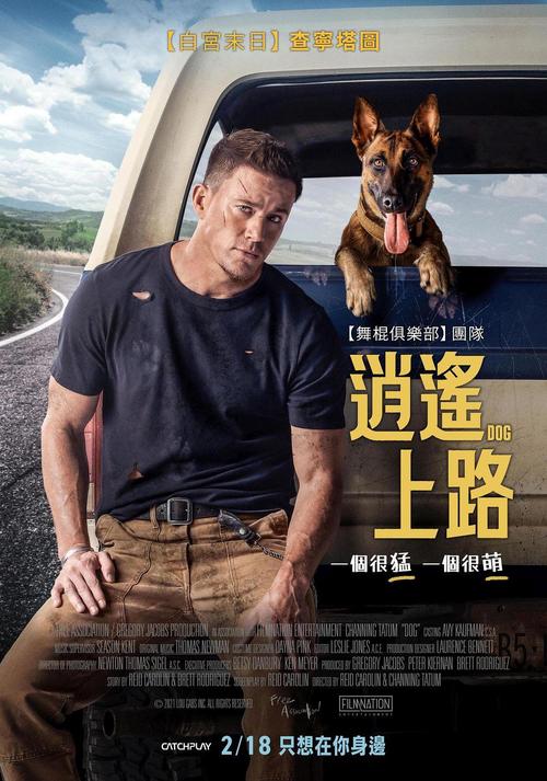 2022年3月11日:四部最新电影热映,科幻动作、浪漫喜剧、热血动作、犯罪悬疑,来影院感受最新电影的感动!2022年3月11日:四部最新电影热映,科幻动作、浪漫
