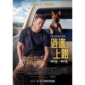 2022年3月11日：四部最新电影热映，科幻动作、浪漫喜剧、热血动作、犯罪悬疑，来影院感受最新电影的感动！2022年3月11日：四部最新电影热映，科幻动作、浪漫