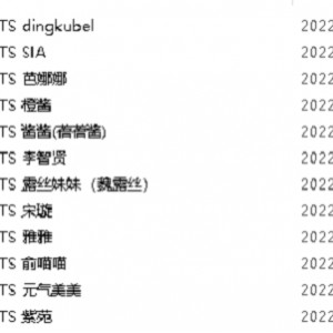 12位当红TS最全合集312部,不喜勿入!