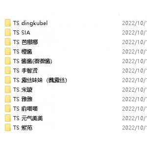 12位当红TS最全合集312部,不喜勿入!