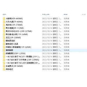 网红大梨子性感造型写真合集，4.3G百度云资源