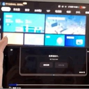 上车家族