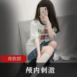 颅内奇妙特殊录音装置