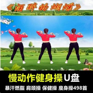 《在家轻松瘦身：有氧健身C完整高清视频》