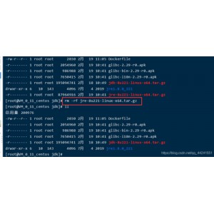 《暴君：以HTTPS从阿里云下载，联机体验经典横版动作游戏》