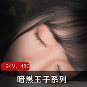 最新暗黑王子系列24部无水印资源