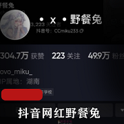 最新抖音网红野餐兔--8月最新私拍