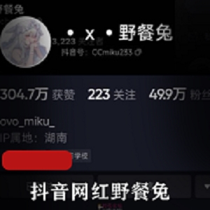 最新抖音网红野餐兔--8月最新私拍