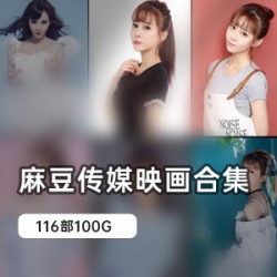 高质量麻豆剧情佳作100G大合集