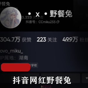 抖音网红野餐兔：私拍视频资源，19个变装视频，472M内容