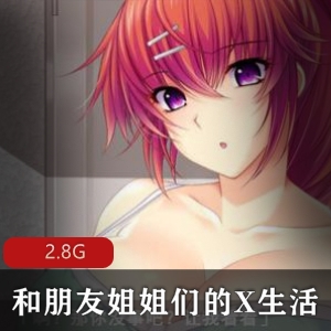 姐姐交换：PC版游戏介绍，精翻汉化，同桌镜子损友，自由感X生活