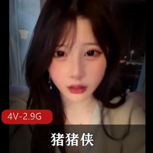 猪猪侠[4V2.9G]