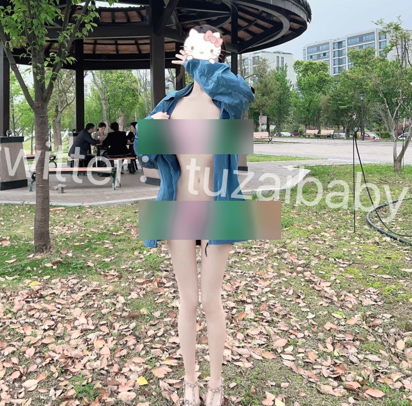 快手轻量计划兔崽baby福利姬合集88V66G，野外展示，设备内存有限，百度盘