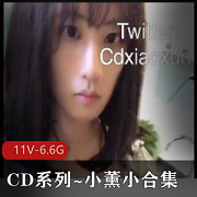 CD系列户外互动小薰最新合集11V6.6G，公园商场自拍