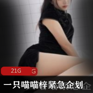 PR社紧急企划合集21G，性感喵喵梓，视频数量015、014，超值资源！