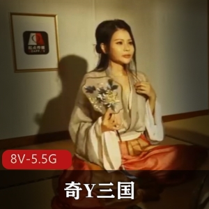 起点传媒奇Y三国合集8部5.5G太感觉