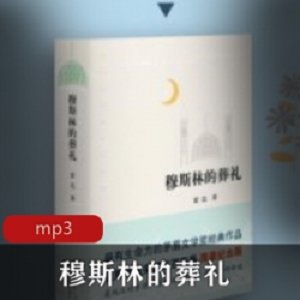 有声小说穆斯林的葬礼播讲兆林