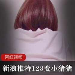新浪推特123变小猪猪作品七部