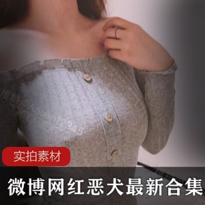茶杯恶犬微博展示视频60部合集40.1G优质珍藏版