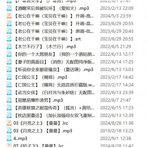 优质骚麦B站音频合集397部79G