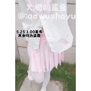 视频合集嗷呜鲨鱼推特710MB51部很感觉