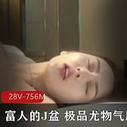 优质蜜桃臀女神私拍合集28V756M人间尤物