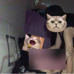 顶级私拍双女畸形之恋3V2.1G疯狂互攻